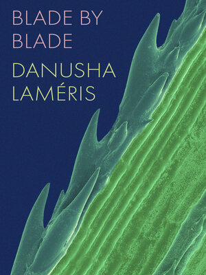 cover image of Blade by Blade
